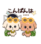 モコモコになりたいワンコ♡夏♡トイプー（個別スタンプ：38）