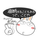 うさぎサン 吹き出し 家族向け（個別スタンプ：17）
