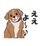 微妙に上から目線な関西弁ドッグ3（個別スタンプ：1）