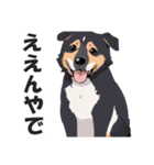 微妙に上から目線な関西弁ドッグ3（個別スタンプ：2）