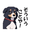 微妙に上から目線な関西弁ドッグ3（個別スタンプ：4）