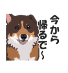 微妙に上から目線な関西弁ドッグ3（個別スタンプ：9）