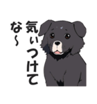 微妙に上から目線な関西弁ドッグ3（個別スタンプ：11）