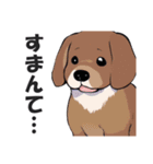 微妙に上から目線な関西弁ドッグ3（個別スタンプ：14）