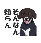 微妙に上から目線な関西弁ドッグ3（個別スタンプ：19）