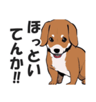 微妙に上から目線な関西弁ドッグ3（個別スタンプ：22）