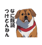 微妙に上から目線な関西弁ドッグ3（個別スタンプ：23）