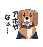 微妙に上から目線な関西弁ドッグ3（個別スタンプ：24）