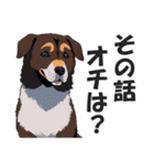 微妙に上から目線な関西弁ドッグ3（個別スタンプ：25）