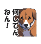 微妙に上から目線な関西弁ドッグ3（個別スタンプ：30）