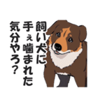 微妙に上から目線な関西弁ドッグ3（個別スタンプ：34）