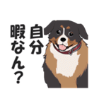 微妙に上から目線な関西弁ドッグ3（個別スタンプ：35）