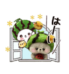 【夏】スイカたろう♡ぬいぐるみ入り♡挨拶（個別スタンプ：1）