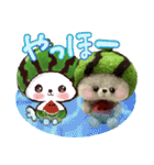 【夏】スイカたろう♡ぬいぐるみ入り♡挨拶（個別スタンプ：5）