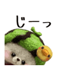 【夏】スイカたろう♡ぬいぐるみ入り♡挨拶（個別スタンプ：18）