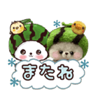 【夏】スイカたろう♡ぬいぐるみ入り♡挨拶（個別スタンプ：40）