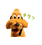 ディズニー100セレブレーション♪（個別スタンプ：31）