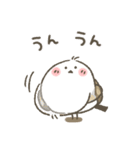 シマエナガ★しまぴ日常基本スタンプ（個別スタンプ：16）