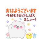 ポメラニアンぽちゃん「長文」（個別スタンプ：2）