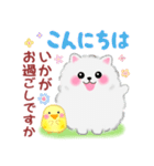 ポメラニアンぽちゃん「長文」（個別スタンプ：3）
