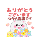 ポメラニアンぽちゃん「長文」（個別スタンプ：9）