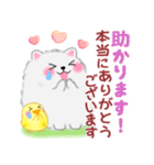 ポメラニアンぽちゃん「長文」（個別スタンプ：11）