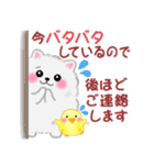 ポメラニアンぽちゃん「長文」（個別スタンプ：16）
