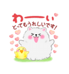 ポメラニアンぽちゃん「長文」（個別スタンプ：20）
