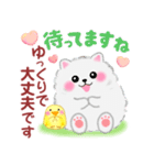 ポメラニアンぽちゃん「長文」（個別スタンプ：26）