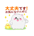 ポメラニアンぽちゃん「長文」（個別スタンプ：27）