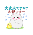 ポメラニアンぽちゃん「長文」（個別スタンプ：29）