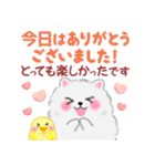ポメラニアンぽちゃん「長文」（個別スタンプ：31）
