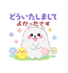 ポメラニアンぽちゃん「長文」（個別スタンプ：33）