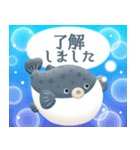 癒しの海＊大人上品なお誕生日＆日常（個別スタンプ：17）