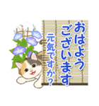 夏のにゃんころりん（個別スタンプ：1）