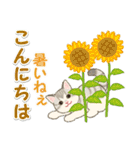 夏のにゃんころりん（個別スタンプ：3）