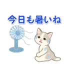 夏のにゃんころりん（個別スタンプ：6）