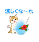 夏のにゃんころりん（個別スタンプ：7）