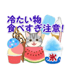 夏のにゃんころりん（個別スタンプ：9）
