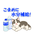 夏のにゃんころりん（個別スタンプ：10）