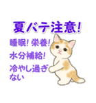 夏のにゃんころりん（個別スタンプ：12）
