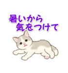 夏のにゃんころりん（個別スタンプ：13）