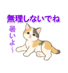 夏のにゃんころりん（個別スタンプ：14）