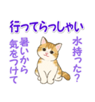 夏のにゃんころりん（個別スタンプ：17）