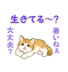 夏のにゃんころりん（個別スタンプ：19）