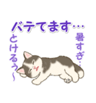 夏のにゃんころりん（個別スタンプ：20）