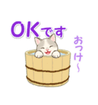 夏のにゃんころりん（個別スタンプ：23）