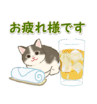 夏のにゃんころりん（個別スタンプ：25）