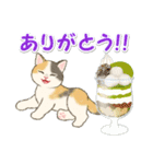 夏のにゃんころりん（個別スタンプ：27）