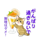 夏のにゃんころりん（個別スタンプ：31）